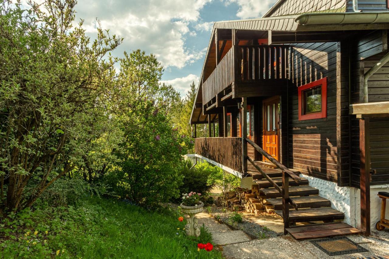 Blockhaus Eifelsteig W/ Kamin Garten & Feuerstelle Berndorf  Exteriér fotografie